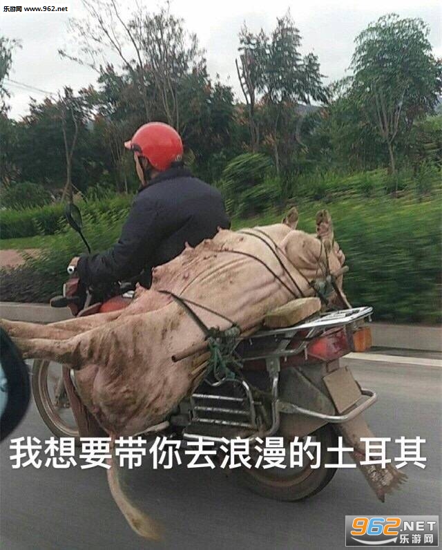 反了你了表情包图片大全截图0
