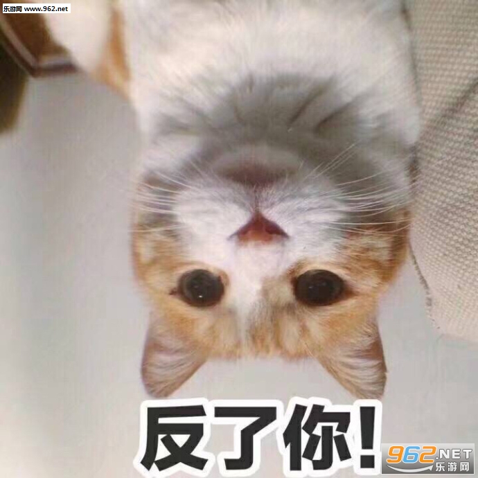 反了你了表情包图片大全截图1