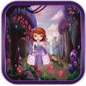 First Adventure of Sofia Princess(�����ǹ����ĵ�һ�δ�ð�հ�׿��)