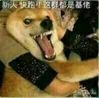 ���˿�����Ⱥȫ�ǻ��б������ͼ0