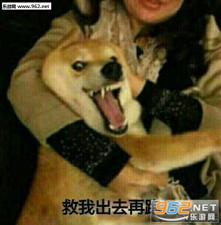 ���˿�����Ⱥȫ�ǻ��б������ͼ5