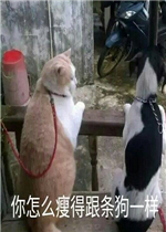 ���ⲻ�����������Ǯè������