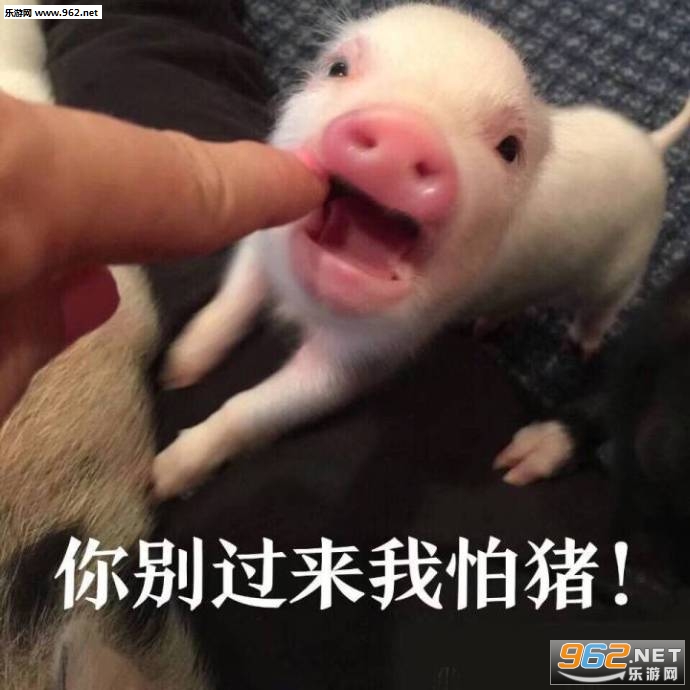 �����������������ͼƬ��ͼ3