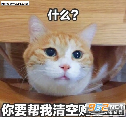 你的小可爱没零花钱图片表情包无水印截图1