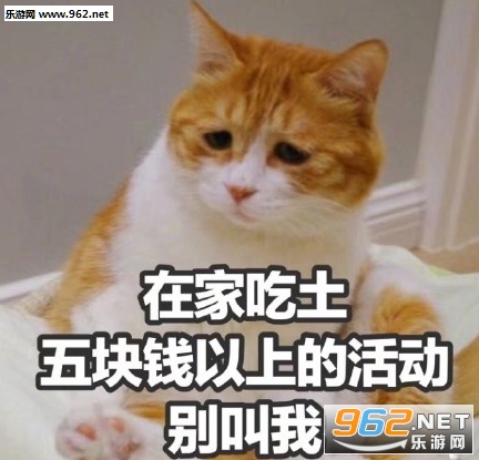 你的小可爱没零花钱图片表情包无水印截图2