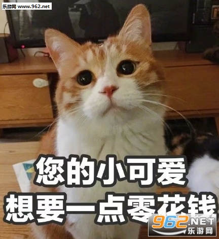 你的小可爱没零花钱图片表情包无水印截图3