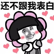 2017�����˫ʮһף��ͼƬ