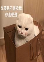 ��Ǹ��Ǯ�������Ϊ����Ϊ��è������
