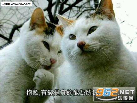 ��Ǹ��Ǯ�������Ϊ����Ϊ��è��������ͼ2