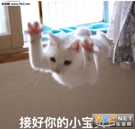 ��Ǹ��Ǯ�������Ϊ����Ϊ��è��������ͼ3