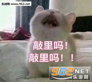����������lailaiɶ��˼������ˮӡ���ºϼ���ͼ0