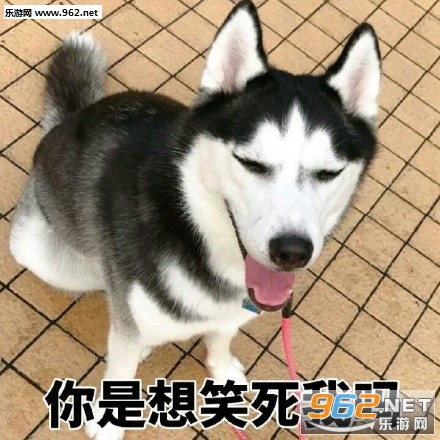 ����������ʱ��Ŀ���ĮŮ�ѱ������ͼ3