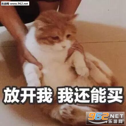 双十一最应该打折的是什么自己的手表情包图片大全截图5