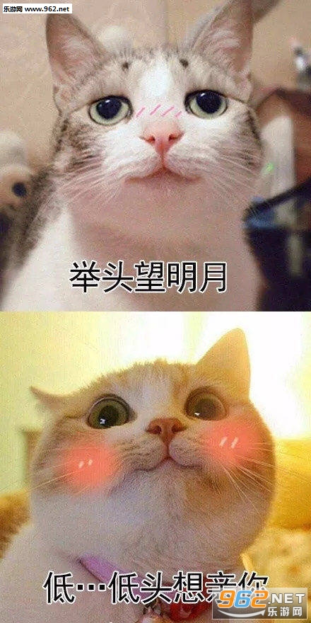 �����ֲ�ʧ���ŵ�΢Ц��Ц�к������ͼƬ��ͼ5