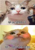 �����ֲ�ʧ���ŵ�΢Ц��Ц�к������ͼƬ