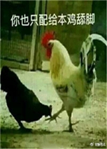 ��Ҳֻ���������ű����ͼƬ