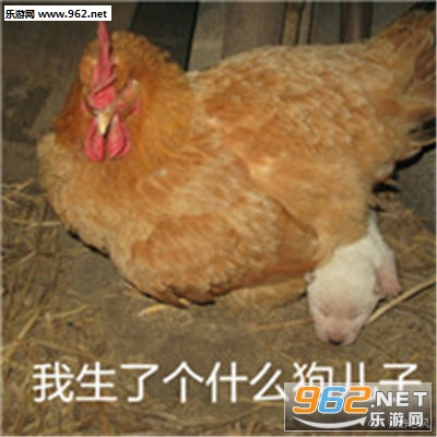 ��Ҳֻ���������ű����ͼƬ��ͼ3