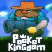 PocketKingdom(�ڴ������������İ�)