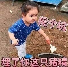 挖个坑埋了你这只猪精表情包图片截图3