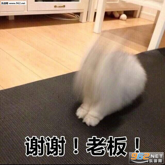 挖个坑埋了你这只猪精表情包图片截图2
