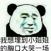挖个坑埋了你这只猪精表情包图片截图6