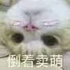挖个坑埋了你这只猪精表情包图片截图5