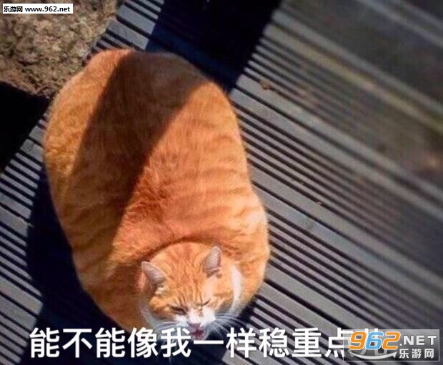 挖个坑埋了你这只猪精表情包图片截图7