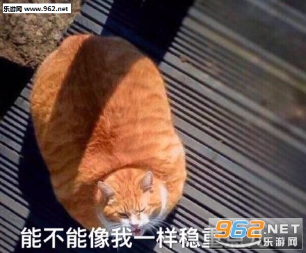能不能像我一样稳重点儿胖猫表情包图片截图0