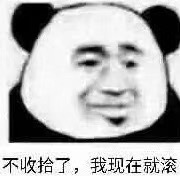 能不能像我一样稳重点儿胖猫表情包图片截图4