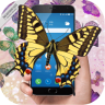 Butterfly in Phone Lovely joke(�ֻ���Ļ��һȺ��������)
