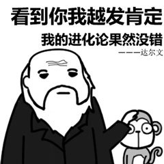 孔子的凝视名人名言表情包图片大全截图1
