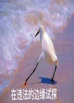 ��Ե��̽�����ͼƬ��ȫ