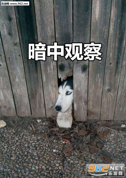 �������ư��й۲�����ͼƬ��ȫ��ͼ1