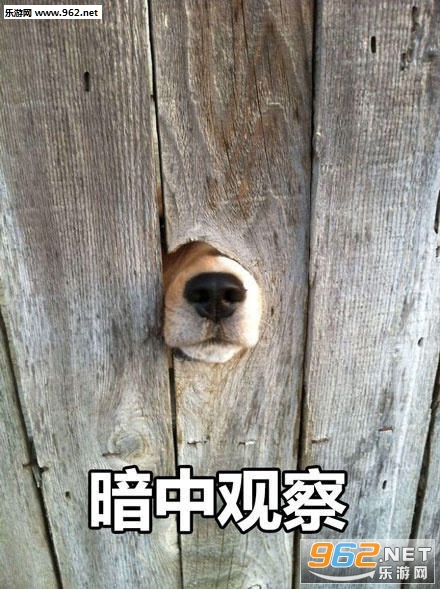 �������ư��й۲�����ͼƬ��ȫ��ͼ2