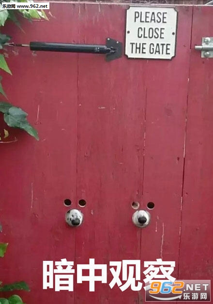 �������ư��й۲�����ͼƬ��ȫ��ͼ3