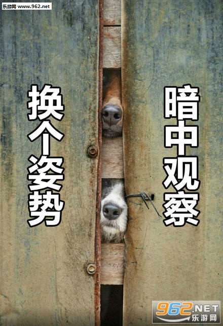 �������ư��й۲�����ͼƬ��ȫ��ͼ4