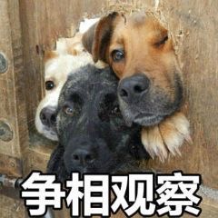 �������ư��й۲�����ͼƬ��ȫ��ͼ5