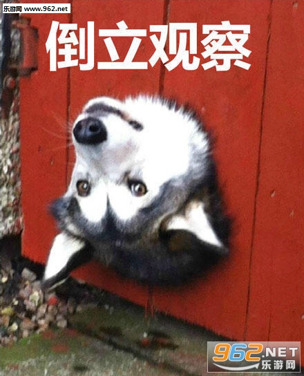 �������ư��й۲�����ͼƬ��ȫ��ͼ6