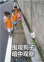 �������ư��й۲�����ͼƬ��ȫ