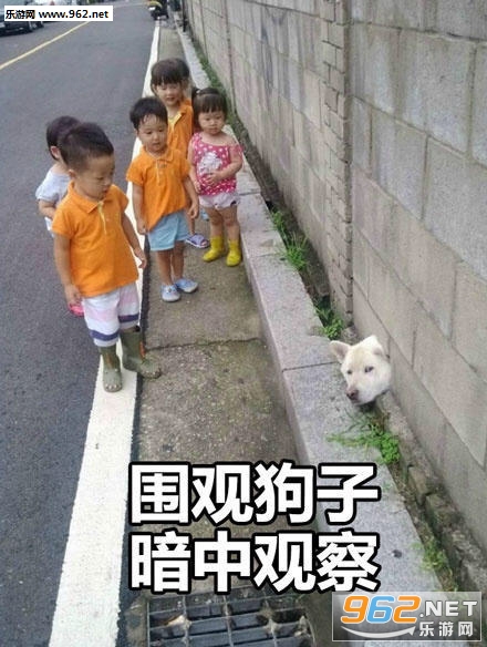 �������ư��й۲�����ͼƬ��ȫ��ͼ8