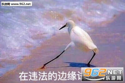 ��Ե��̽�����ͼƬ��ȫ��ͼ1