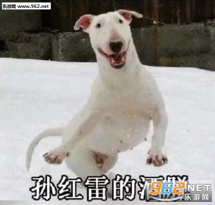 �ָ������ҿ�������Ҫ��˭�����ͼƬ��ȫ��ͼ3