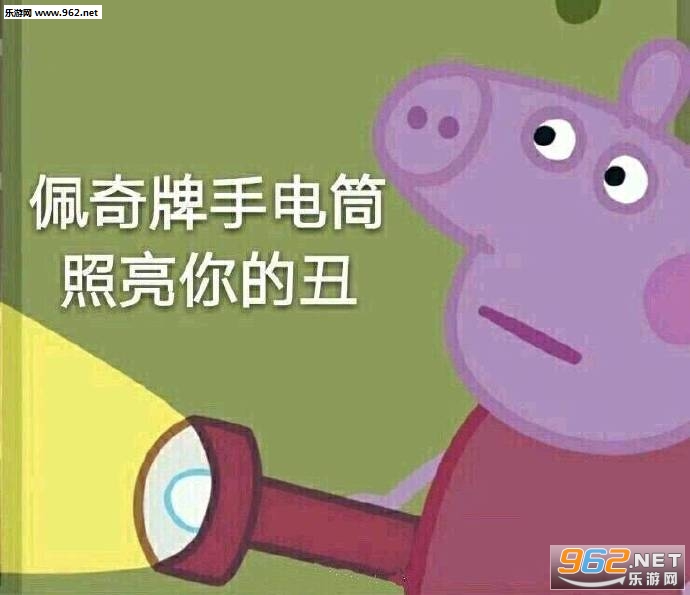 保护小猪佩奇抵制吹头小猪佩奇吹风机表情包图片截图3
