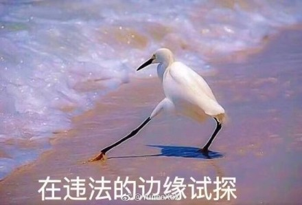 �ڷ��ɵı�Ե��̽�����
