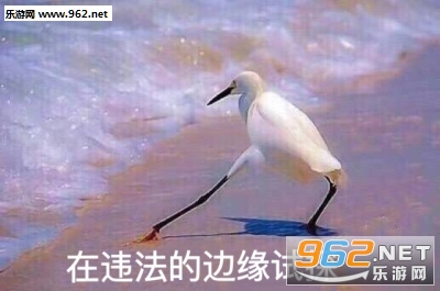 �ڷ��ɵı�Ե��̽�������ͼ1