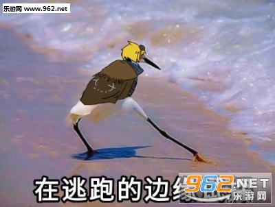 �ڷ��ɵı�Ե��̽�������ͼ5