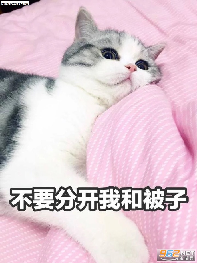 ��ס�궯��������ͼƬ��ͼ7