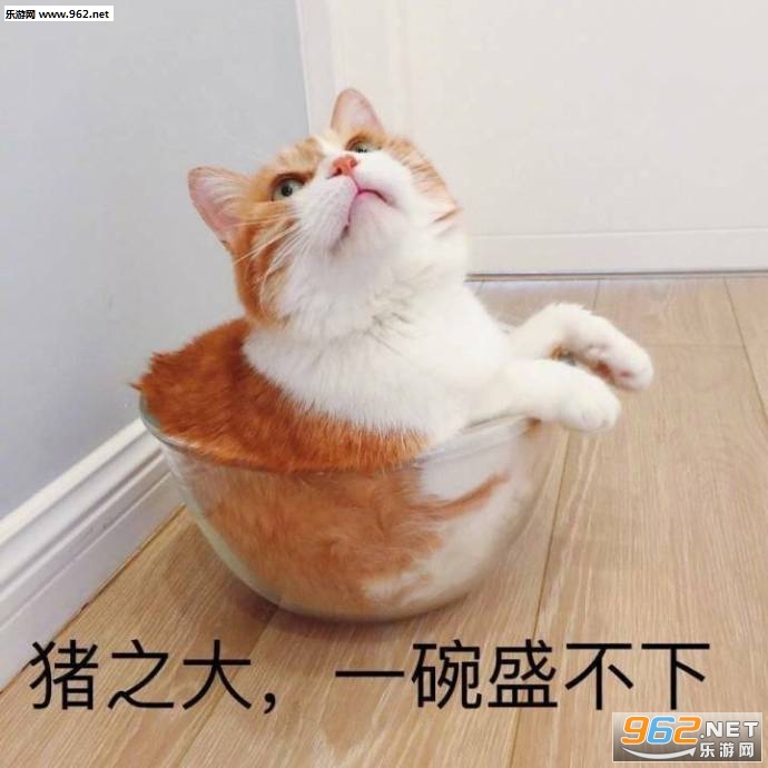 ����һ����ȴ������һ���ӱ����ͼƬ��ͼ6