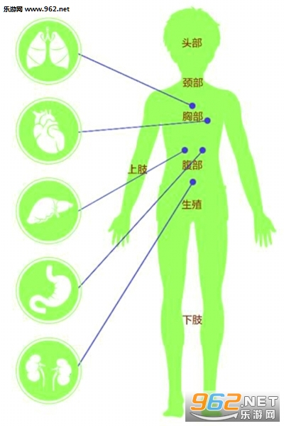 �����人�ٷ��ͻ��˽�ͼ2