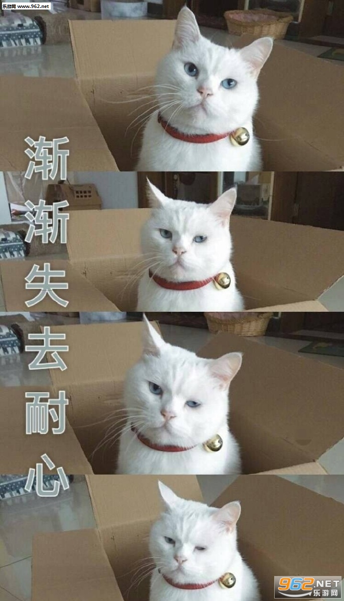 �������һ�˾�������ͼƬ��ͼ7